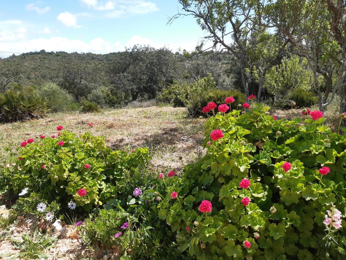 דירות לאגוּ‏ש Quinta Da Jolanda-Happy Family Farm מראה חיצוני תמונה